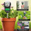7 in 1 Soil Test Soil Moisture Meter/PH Meter/Light Intensity/Fertility/Air & Soil Hygrometer Temperature with Display 7