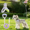 Reflective Dog Harness Set No-Pull Step-in Vest for Small Dogs A 5