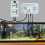 3 In1 Wifi Water Quality Tester PH Salinity Alkalinity Meter BNC Type Probe Analyzer for Aquarium Hydroponics EU Plug 6