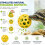 Turtle Tank Accessory Set with Suction Cup Brush, Feeding Rings & Vegetable Feeder 2