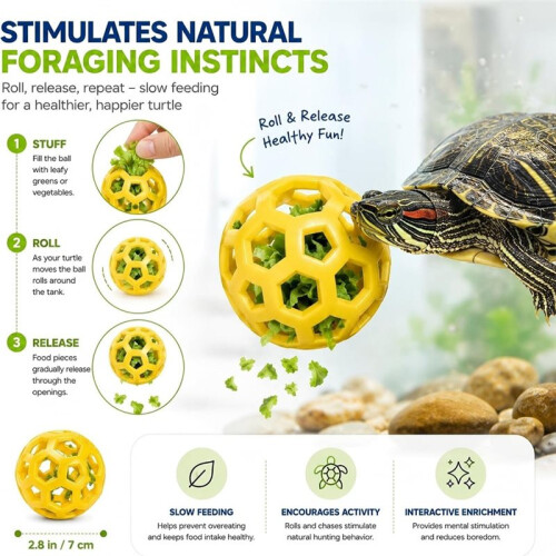 Turtle Tank Accessory Set with Suction Cup Brush, Feeding Rings & Vegetable Feeder 1