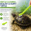 Turtle Tank Accessory Set with Suction Cup Brush, Feeding Rings & Vegetable Feeder 5