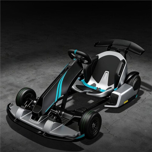Justerbart Gokart Säkerhetsbälte för  Pro Gokart Säkerhetsutrustning 2