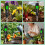 Soil and Food PH Tester,Measures EC,Humidity,Temperature,Fertility,Nitrogen,Phosphorus,Potassium for Soil,Fruits,Meat 10