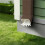 Gutter Downspout Diverter, Gutter Downspout Extensions for Rainwater Dispersal, Rain Gutter Disperser 1