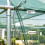 Double-Headed Chain Spring Buffer Steel Wire Rope, Fruit Tree Branch Pulling Shade Net Fence Tensioning and Fixing Cable 2