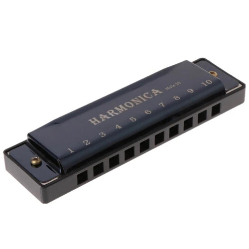 Blues Harmonica Key of C 10 Hole with Case, Bright Projecting Tone, BeginnerFriendly Black Model 1
