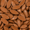 (650g Sweet Jar) Chocolate Mice 1