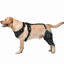 Dog Knee Brace for ACL, Hip Dysplasia, Arthritis Pain Relief, Adjustable Neoprene Support M