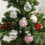 Christmas Glitter Glasses Frames 6 Pcs 5