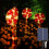 LED Candy Lights Outdoor Waterproof 10m 3