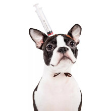 Halloween Pet Headwear Funny Hat for Dogs and Cats