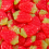 (730g Sweet Jar) Giant Strawberries 1