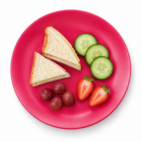 (Fuchsia) Plastic Side Plates Set of 6 Reusable Picnic