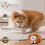 Interactive Dog Toys for Large Dogs 3