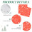 Transparent Shatterproof Sphere Balls 10 pcs 4