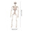 Halloween Skeleton Set Bride and Groom 40 cm Movable Joints 3
