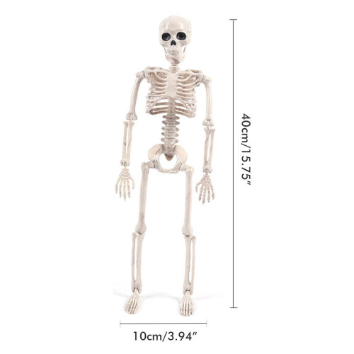 Halloween Skeleton Set Bride and Groom 40 cm Movable Joints 2