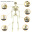 Halloween Skeleton Set Bride and Groom 40 cm Movable Joints 5