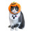 Halloween Kitten Pumpkin Hat for Pets 1