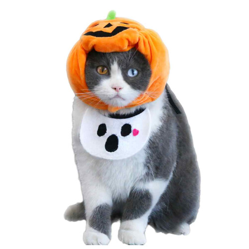 Halloween Kitten Pumpkin Hat for Pets