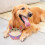 Interactive Dog Toys for Large Dogs 2