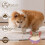 Interactive Dog Toys for Large Dogs 3
