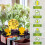 Sticky Fruit Fly Trap for Indoor Plants 48 pcs 4