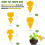Sticky Fruit Fly Trap for Indoor Plants 48 pcs 2
