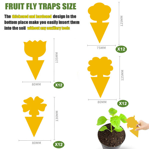 Sticky Fruit Fly Trap for Indoor Plants 48 pcs 1