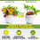 Sticky Fruit Fly Trap for Indoor Plants 48 pcs 3