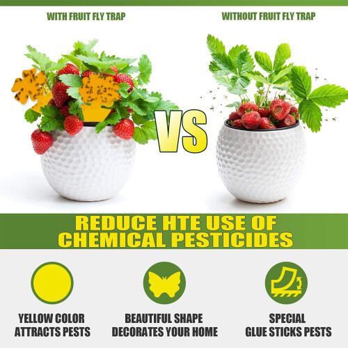 Sticky Fruit Fly Trap for Indoor Plants 48 pcs 2