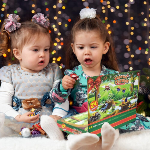 Insect Building Blocks Christmas Countdown Calendar for 1