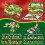 Insect Building Blocks Christmas Countdown Calendar for 5