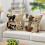 Halloween Pillowcases Gothic Skull Black Cat Pumpkin Decor 4