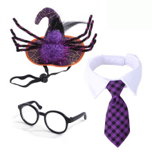 Dog Halloween Costume Spider-Man Wizard Hat Purple Plaid Tie