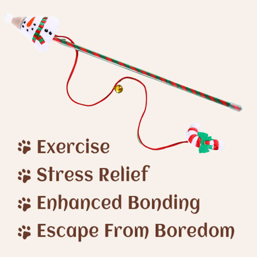 Cat Interactive Toy Stick with Bell and Sound 2