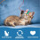 Cat Interactive Toy Stick with Bell and Sound 5