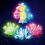 Crystal Growing Kit Light-Up 6 Crystals Science Gift for 2