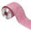 Glitter Ribbon with Metallic Edge 2.5cm x 10m 1
