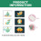 Christmas Greeting Card Set with Envelopes and Stickers 24 2