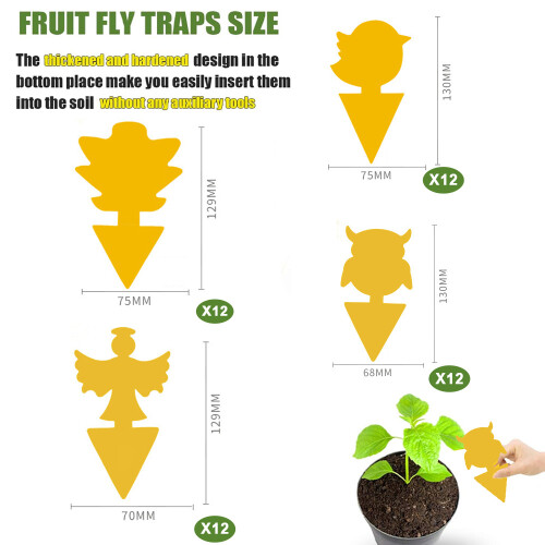 Sticky Fruit Fly Trap for Indoor Plants 48 Pieces 1