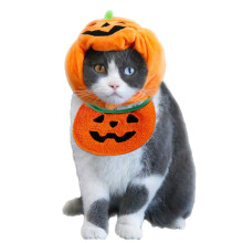 Halloween Kitten Pumpkin Hat for Pets