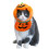 Halloween Kitten Pumpkin Hat for Pets 1