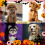 Halloween Pet Bow Tie Collars 4 pcs 5