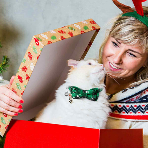 Christmas Cat Collar with Bow Tie and Bell Breakaway 2