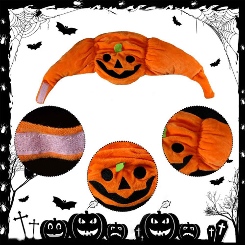 Halloween Kitten Pumpkin Hat for Pets 2
