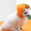 Halloween Kitten Pumpkin Hat for Pets 4