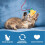 Cat Interactive Toy Stick with Bell and Sound 5