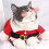 Christmas Water Bottle Labels 24 pcs 4